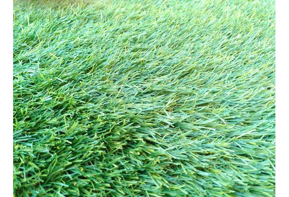 Kunstgras 348 x 287 cm - IMG_20251107_145019