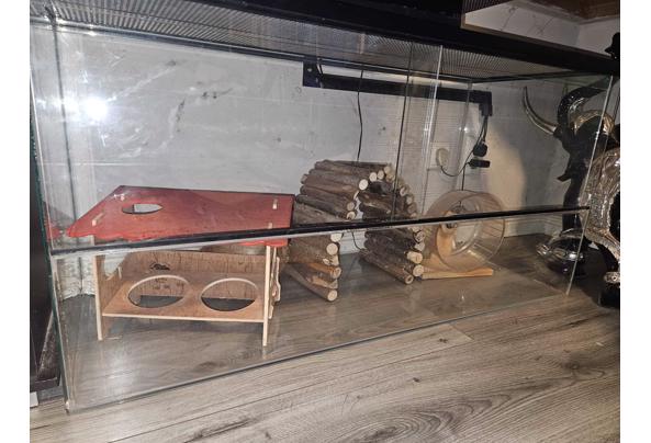 Hamster terrarium (glas) - WhatsApp-Image-2025-12-01-at-16-37-04