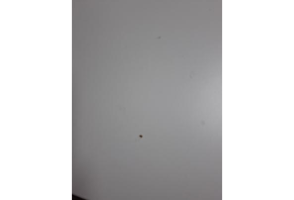 2 tafels voor werk of hobby ruimte - 20251127_133021