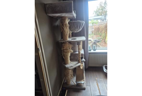 Grote krappaal - 20251101_121656