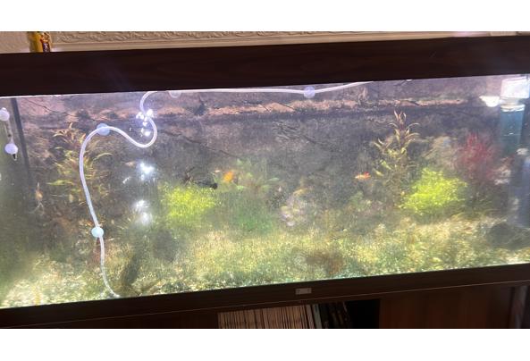 Juwel aquarium - 788613DA-C69B-4676-BFE7-779D2134F1BF