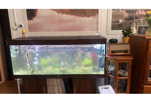 Juwel aquarium - A78C042A-6EF8-4E69-B32F-DC6F31A1EFA6