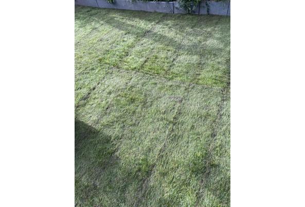 30m2 speelgras GRATIS af te halen - IMG_6202