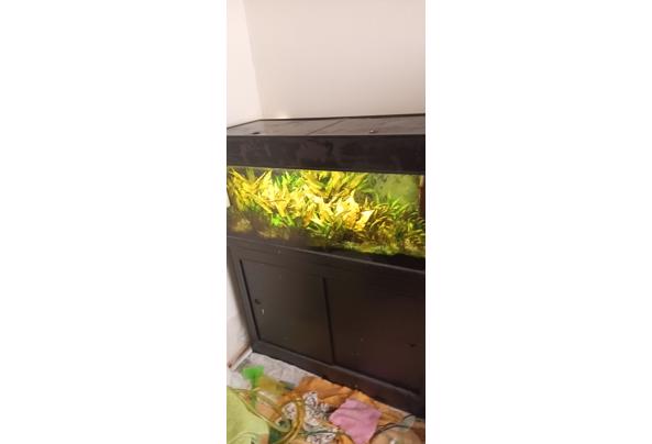 Aquarium met toebehoren. - Aquarium100x40x40