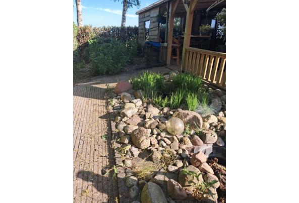 Ongeveer 15 - 20 m² keitjes met twee vijvers en pomp - 20250516_082932
