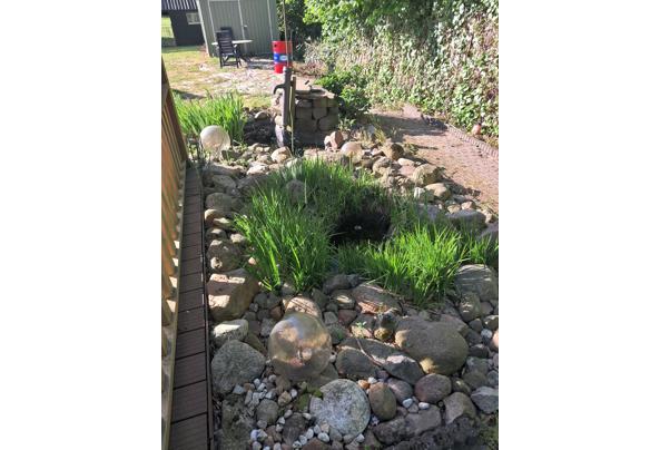 Ongeveer 15 - 20 m² keitjes met twee vijvers en pomp - 20250516_082952