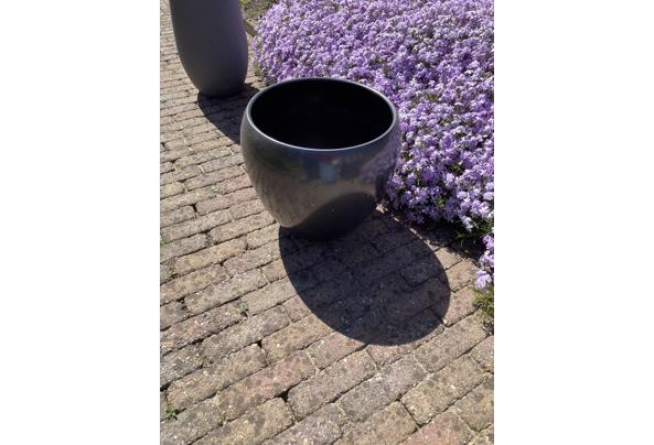 Diverse bloempotten - IMG_0435
