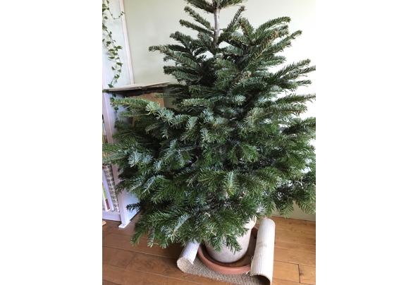 Gratis Nordmann kerstboom 150 cm hoog - 7F7EC8C9-DBE4-47DA-B48C-03DED799D91D