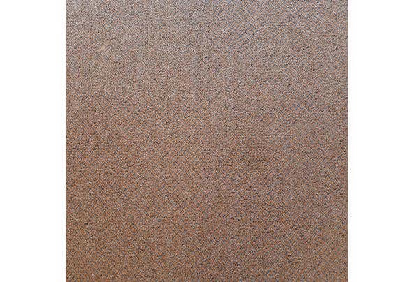 Groot vloerkleed/karpet - 20240201_100920
