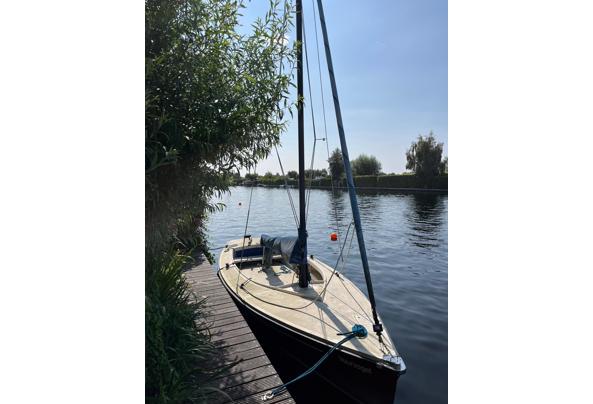 Polyvalk/Geuzenvalk - PHOTO-2025-08-15-2