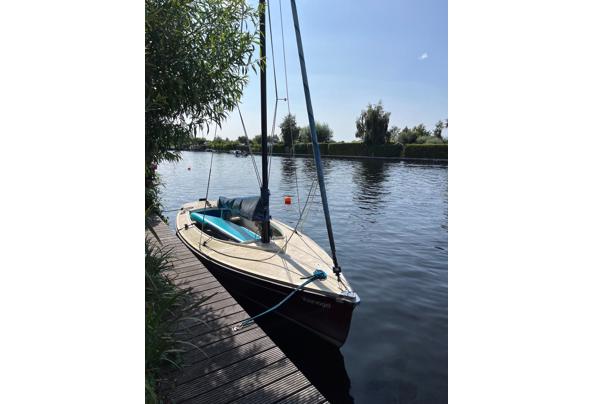 Polyvalk/Geuzenvalk - PHOTO-2025-08-15-3