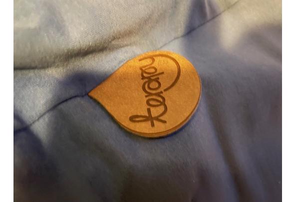 Zitzak - IMG_6493 Zitzak - IMG_6493