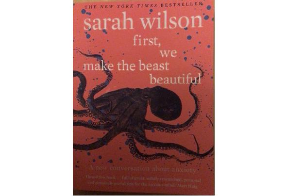 First we make the beast beautiful - Sarah Wilson - 01B9D309-7A7D-436D-A61B-6DB053C3A99B.jpeg