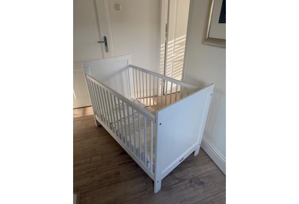 Kinderledikant - IMG_5822