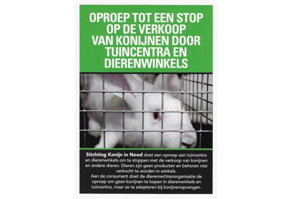 konijnen knuffels gezocht - konijn-in-nood-folder-pag-1_637795792911089805