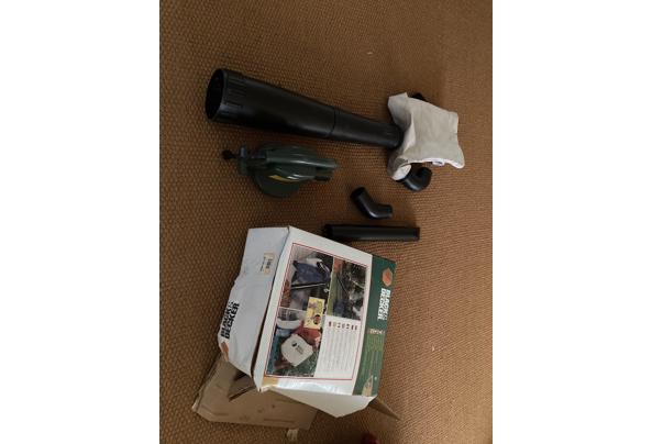 Bladblazer - IMG_8957 Bladblazer - IMG_8957