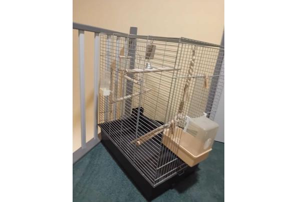 Grote vogelkooi - IMG-20260405-WA0001