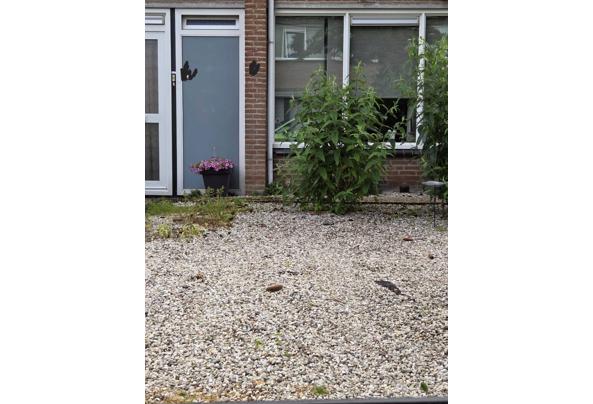 Grind steentjes - IMG-20260605-WA0005