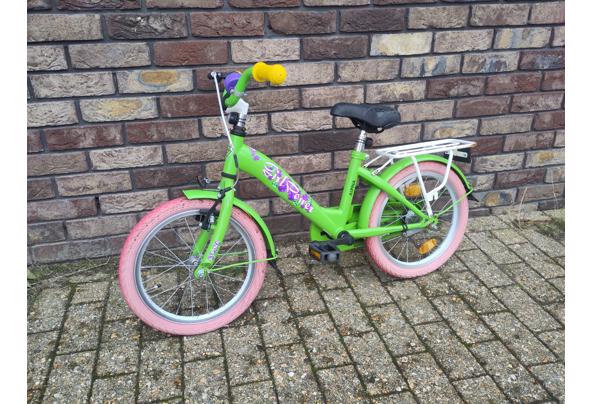Kinderfiets (voor 3 of 4 jaar) - 1000039106