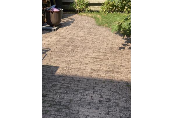 Terrasstenen (waaltjes) - IMG_8619