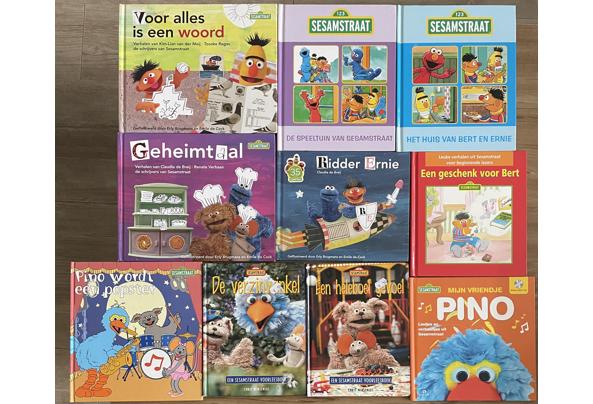 Ruim vijftig boeken en boekjes van Sesamstraat voor verschillende leeftijdscategorien - IMG_4106