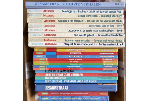 Ruim vijftig boeken en boekjes van Sesamstraat voor verschillende leeftijdscategorien - IMG_4107