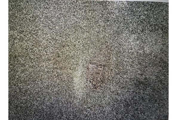 Vloekleed donkerbruin 240 x 300 cm - 4