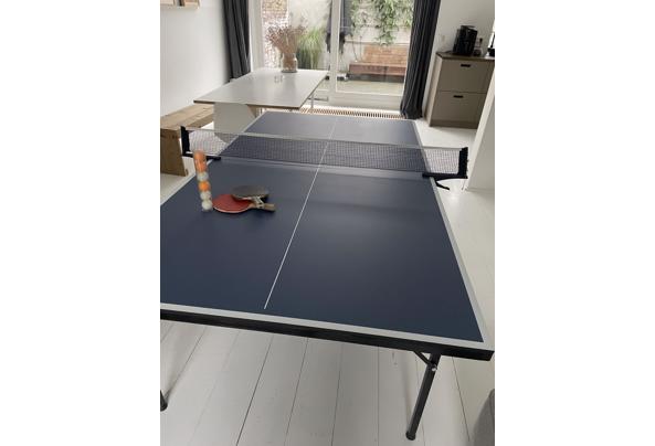 Tafeltennistafel (pingpong) - IMG_5033