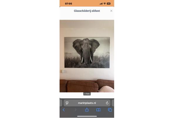 Glasschilderij olifant - IMG_4631