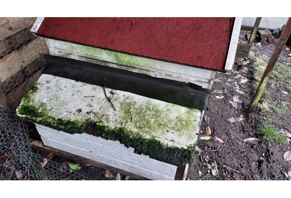 Wie wil er een kippenhok - 20260222_155405