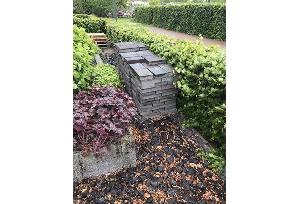 Stenen voor de tuin - 8BC74C66-2CE5-4206-A314-581E18BB8A29