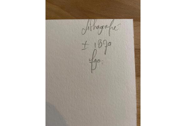 Litho met peren - 9aa89300-edd5-4bbb-9455-3ca867538338