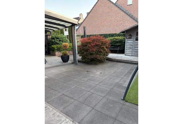 125 betontegels - WhatsApp-Image-2026-09-17-at-13-09-34-(4)