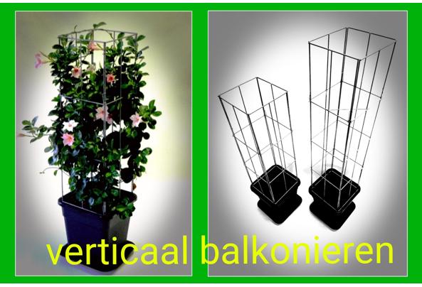 PLANTREKKEN voor clematis druiven tomaten  - 17_637562558909828570