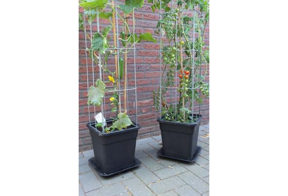 PLANTREKKEN voor clematis druiven tomaten  - EPP-draadzuil-groenten-(4)_637496692321279991