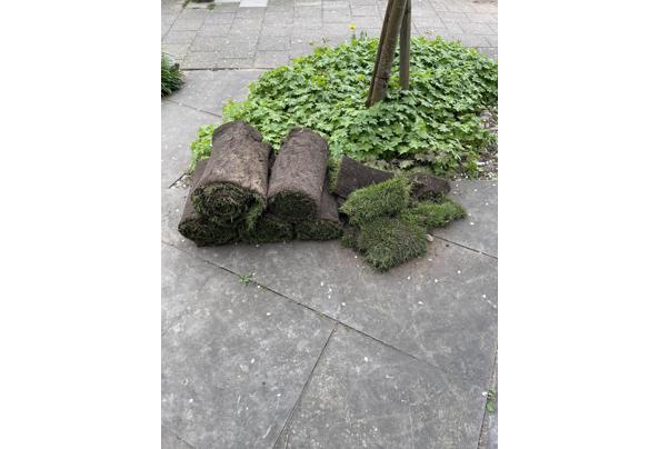 Ongeveer 5 m2 graszoden - image