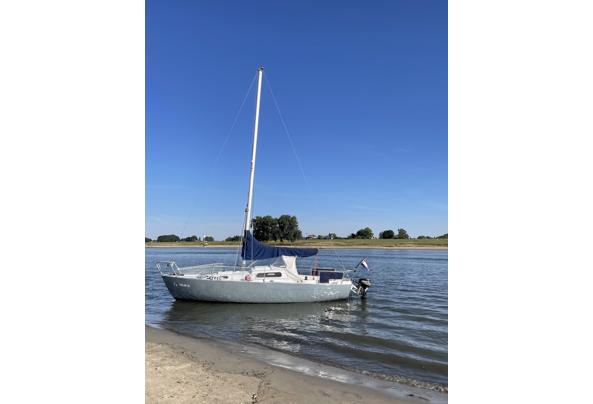 Gratis af te halen kajuit zeilboot  - IMG_2823