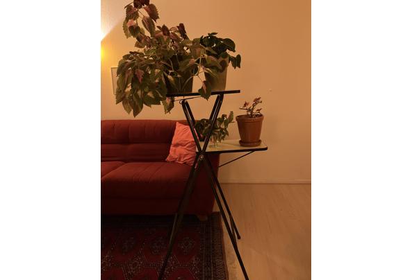 Plantentafel  - IMG_6752