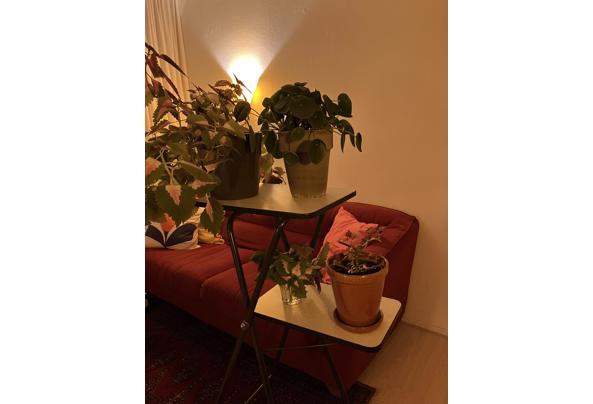 Plantentafel  - IMG_6753