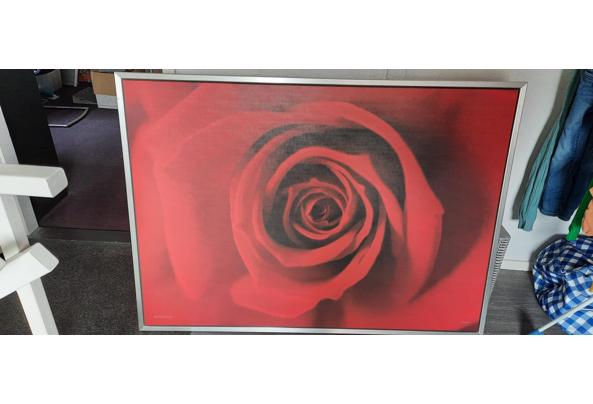 IKEA Schilderij Rode Roos - 20220312_104151