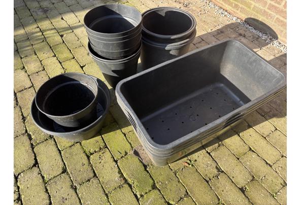 Diverse plastic kuipen/potten - IMG_0496
