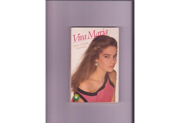 Klein formaat boeken diverse titels en soorten uitgeverijen  - 9275D244-2779-4BDB-B066-A764BE0ACAD3_637495265558602587