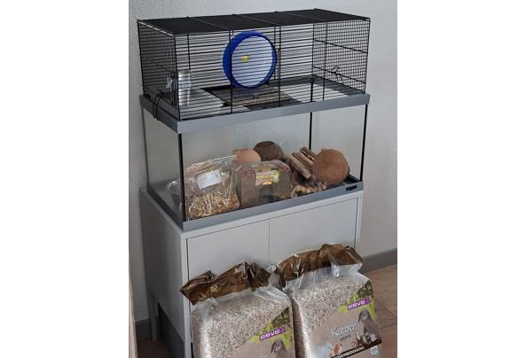 dwerghamster/hamster inrichting en voer - 20251031_122429