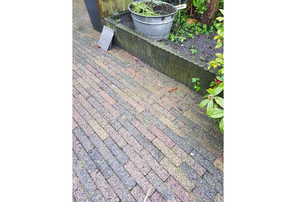 Bont gekleurde waaltjes en betonnen borders - 20220404_184129