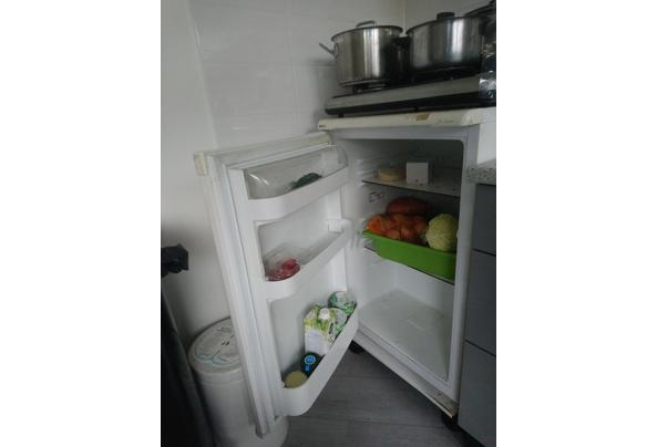 koelkast zonder vriesvak - koelkast