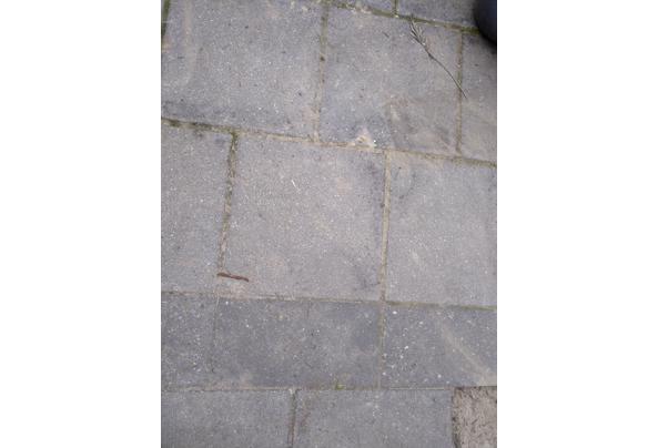 Prima betontegels - grijs en antraciet: 50x50x5 en 50x25x5 - IMG_20210703_185944
