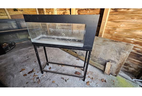 Aquariums - 20251230_104614 Aquariums - 20251230_104614