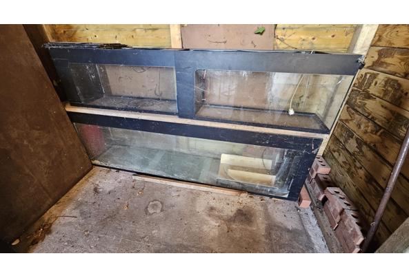 Aquariums - 20251230_104707 Aquariums - 20251230_104707