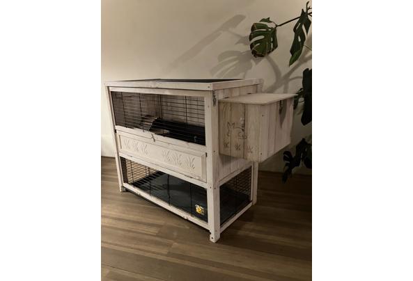 Konijn/cavia flat - IMG_3152