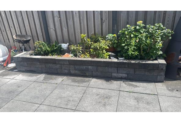 stootbanden om plantenbak mee te maken - WhatsApp-Image-2026-06-07-at-14-59-47-(1)